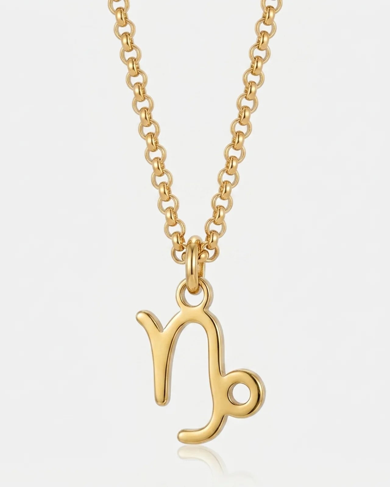 Free Gift: Capricorn Zodiac