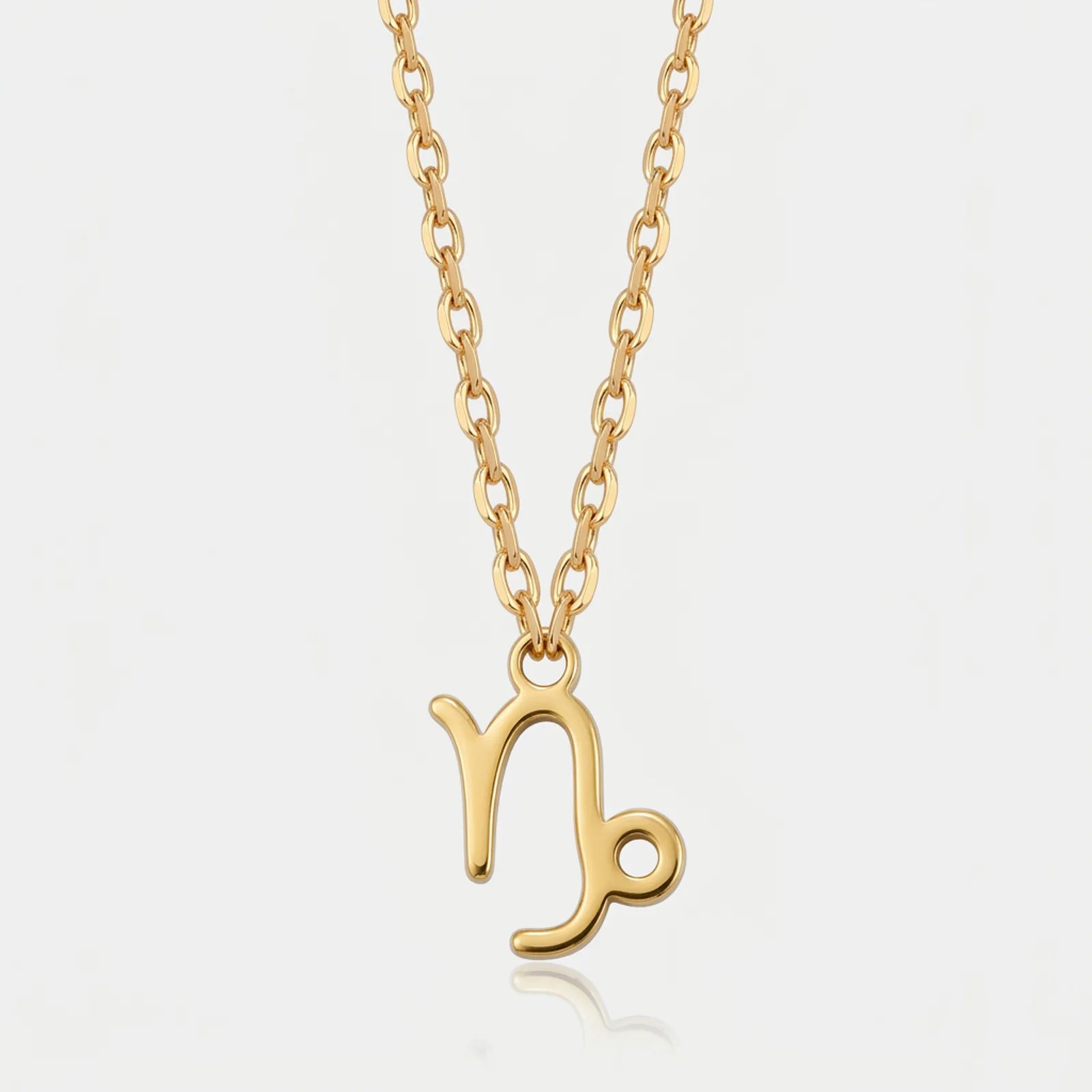 Free Gift: Capricorn Zodiac