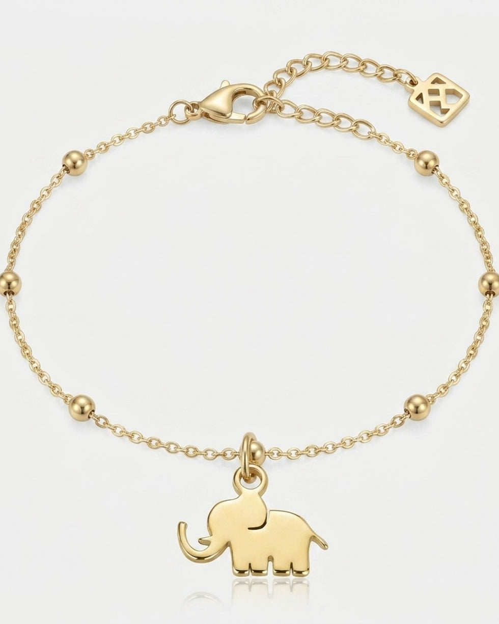 Lucky Elephant Charm Necklace & Bracelet