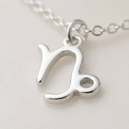 Capricorn Zodiac Necklace | Star Sign Pendant, Gold & Silver
