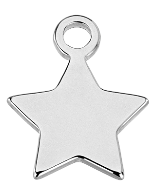 Star | Gold or Silver Add-On Charm - HBD