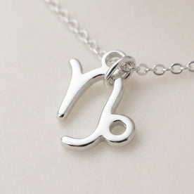 Capricorn Zodiac Necklace | Star Sign Pendant, Gold & Silver