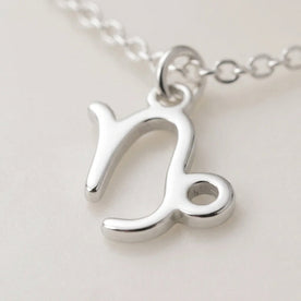 Capricorn Zodiac Necklace | Star Sign Pendant, Gold & Silver