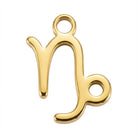 Charm Gold Capricorn Zodiac Charm HBD