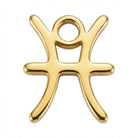 Charm Gold Pisces Zodiac Charm HBD