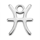 Charm Silver Pisces Zodiac Charm HBD
