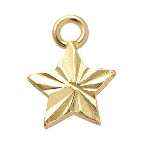 Gigi & Maple Charm Gold Star Premium Charm