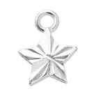 Gigi & Maple Charm Silver Star Premium Charm