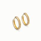 HeyBigDay Earrings Zirconia Huggie Hoop Earrings