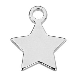 Star Charm Necklace & Bracelet