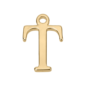 T Initial | Gold or Silver Add-On Charm - HBD