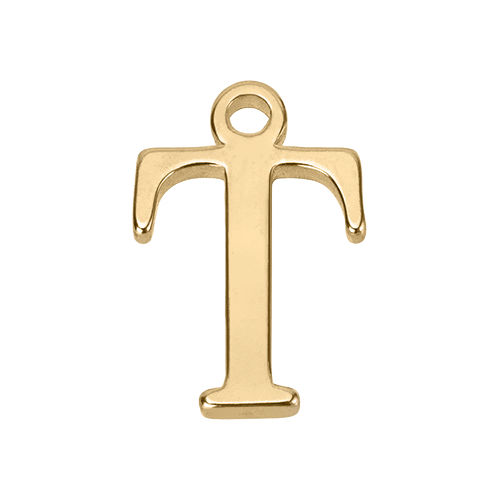 T Initial | Gold or Silver Add-On Charm - HBD