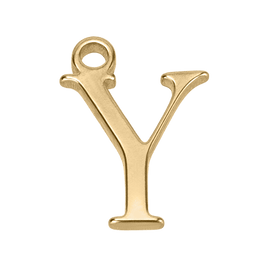 Y Initial | Gold or Silver Add-On Charm - HBD