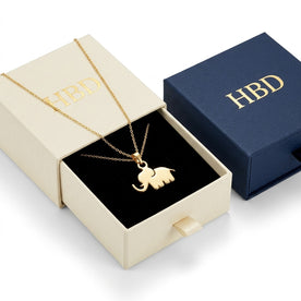 Lucky Elephant Charm Necklace & Bracelet
