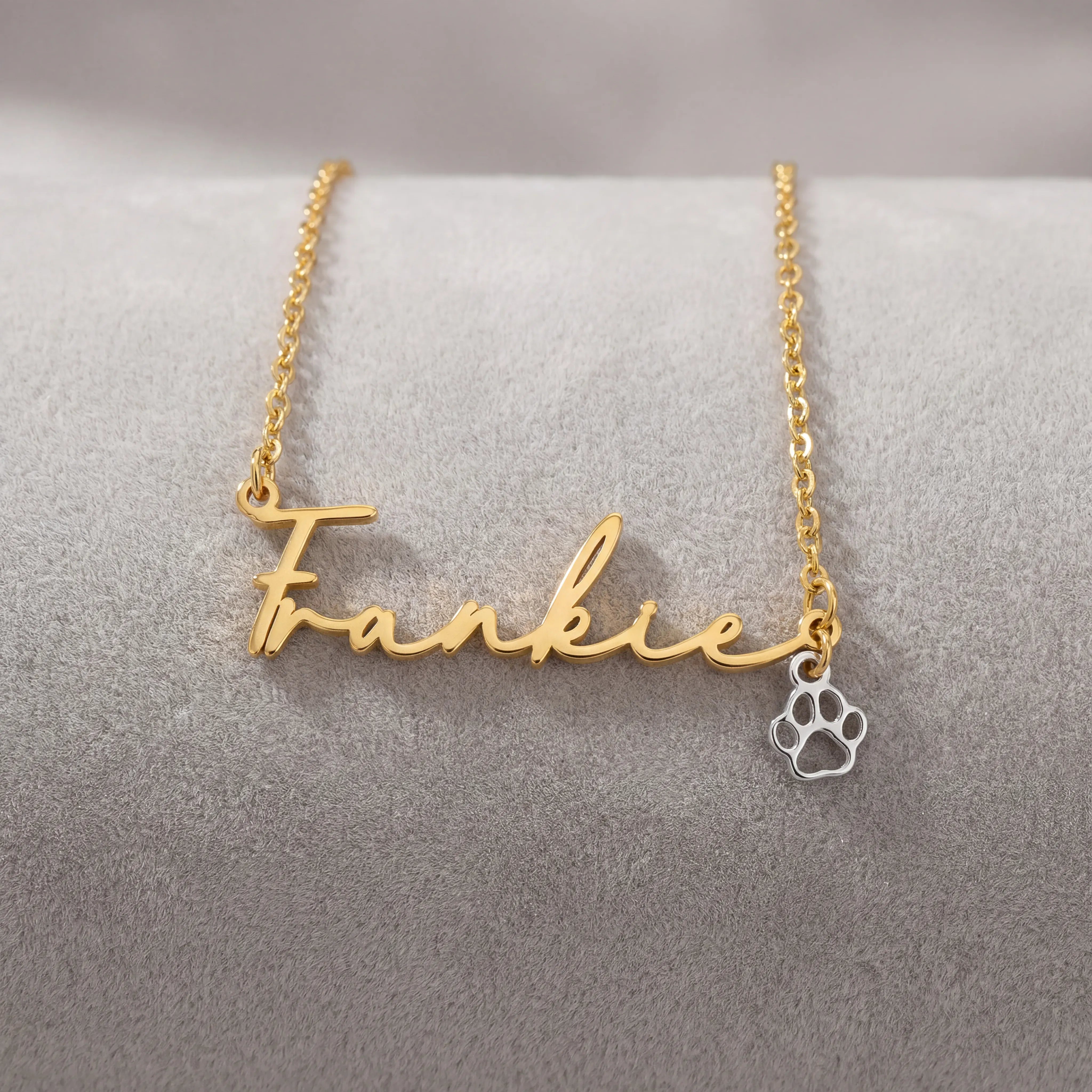 Necklace Name Necklace & Pet Paw Charm HBD