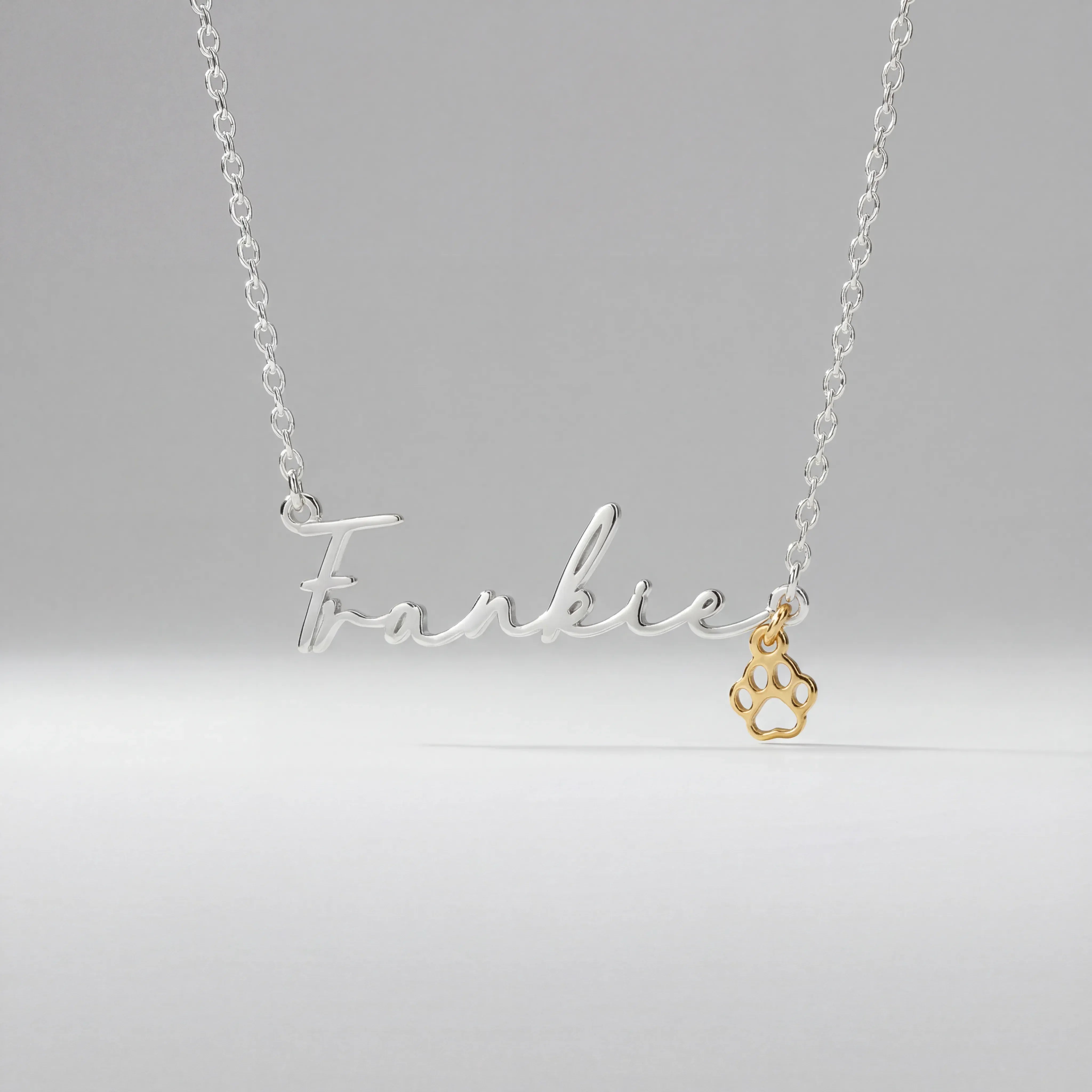 Necklace Name Necklace & Pet Paw Charm HBD