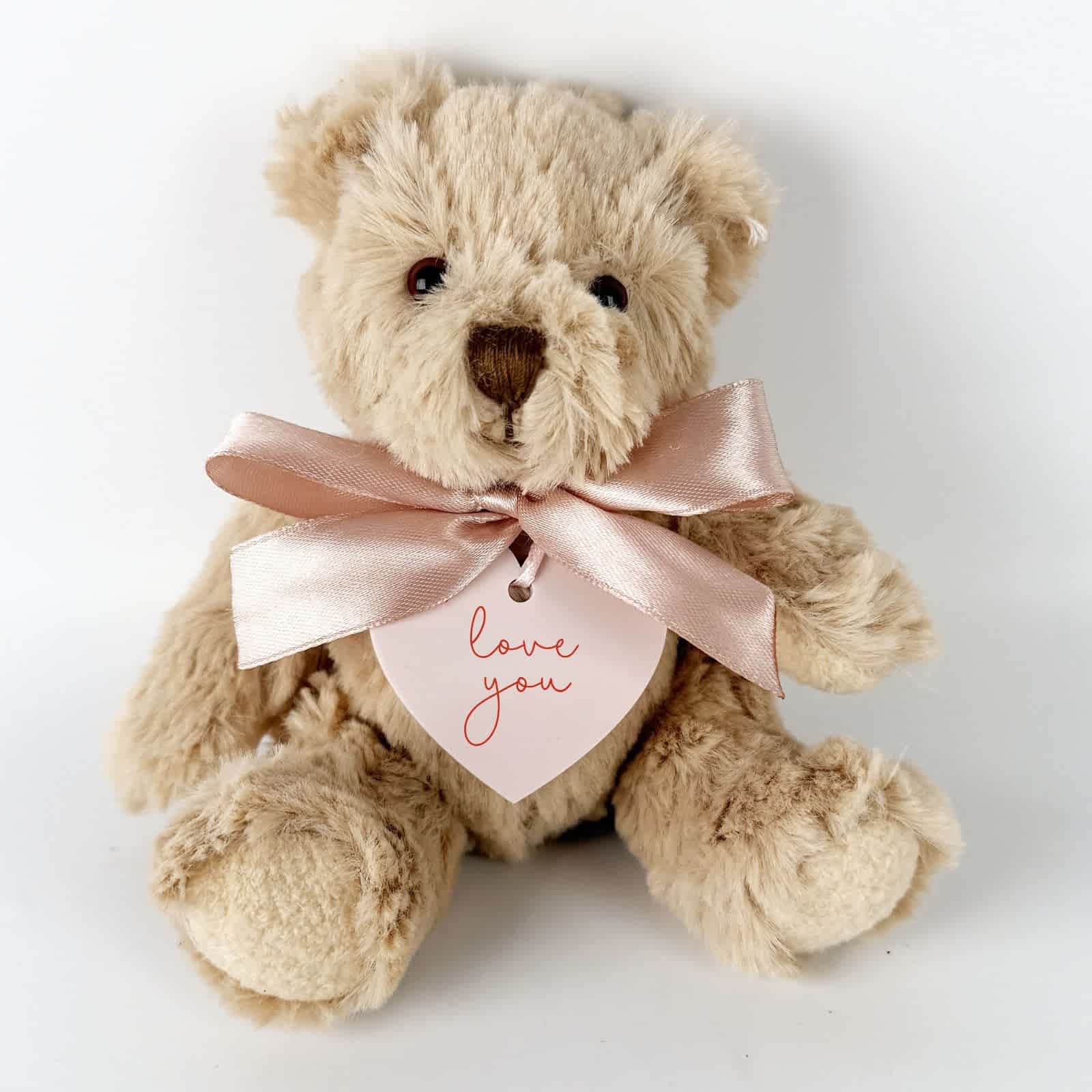 Noa & Nellie Extra Pink Teddy Bear & Love You Plaque