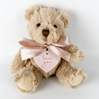 Noa Nellie Extra Pink Teddy Bear Love You Plaque 1211289245 - HBD