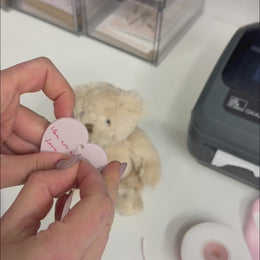 Teddy Bear & Personalised Plaque